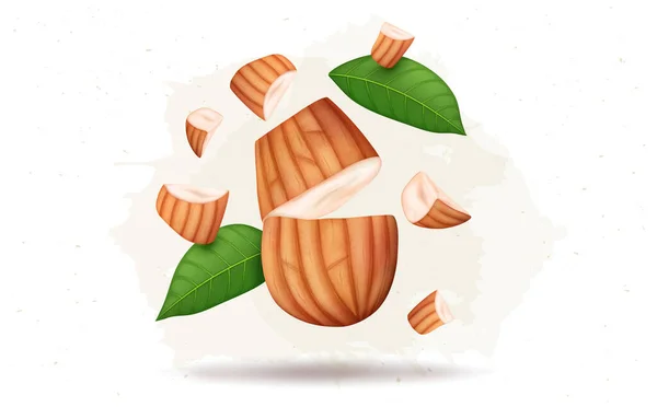 Broken Almonds Pieces Vector Illustration Green Leaves — Stockvektor