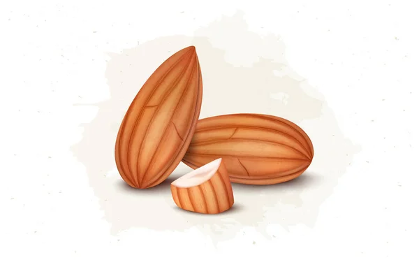 Almonds Nuts Vector Illustration Broken Almond Pieces — Wektor stockowy