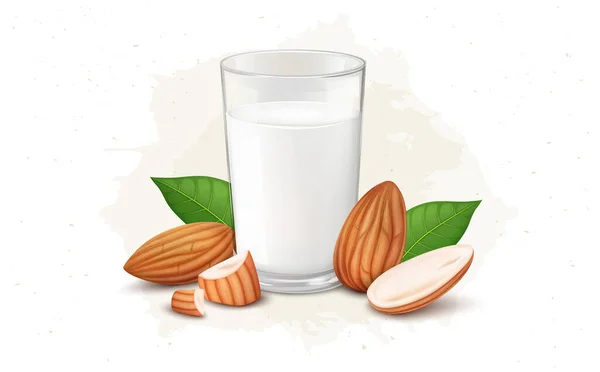 Ilustrasi Almonds Nuts Dan Milk Vector Dengan Daun Hijau - Stok Vektor