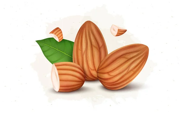 Fresh Almond Nuts Vector Illustration Half Piece Almond Broken Pieces — Stock vektor