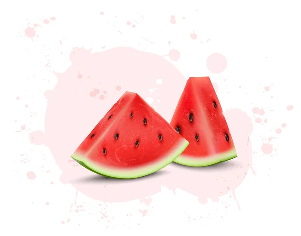 Fresh Watermelon Fruit Slices Vector Illustration — 图库矢量图片