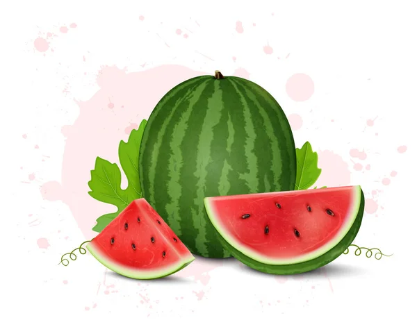 Watermelon Fruit Vector Illustration Watermelon Fruit Slice — 스톡 벡터