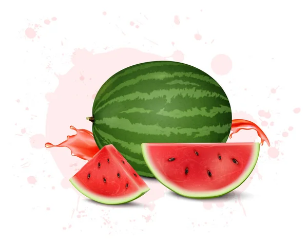 Watermelon Fruit Vector Illustration Watermelon Fruit Slice — Stockvektor