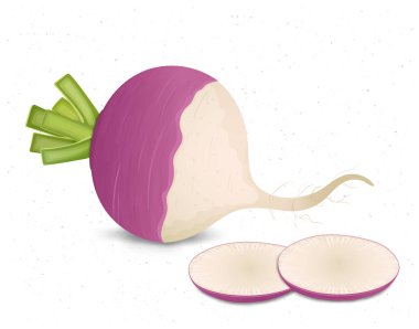 Şalgam parçaları ve yeşil yapraklı Vektör Şalgam Sebze Çizimi