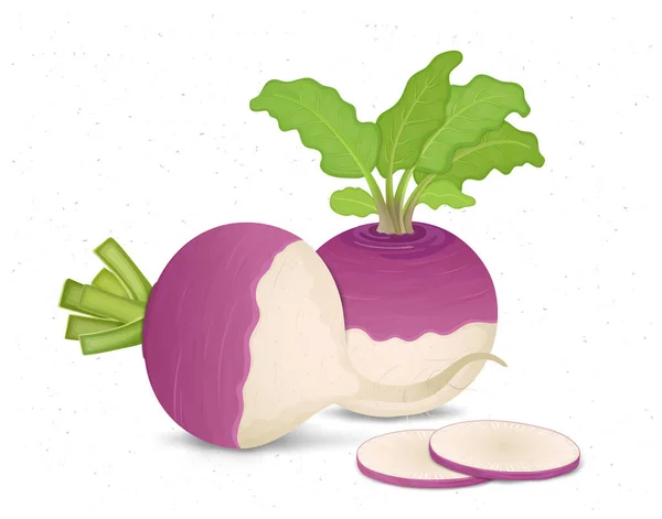 Turnip Vegetable Vector Illustration Green Leaves Slices Turnip Vegetable —  Vetores de Stock