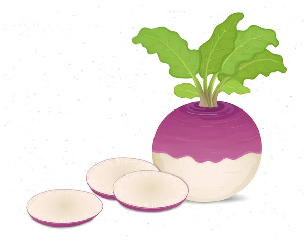 Turnip Vegetable Vector Illustration Green Leaves Vegetable Slices — vektorikuva