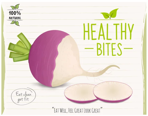 Turnip Vegetable Vector Illustration Slices Vegetable — 스톡 벡터