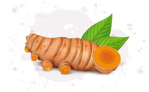 Turmeric Root Vegetables Vector Illustration Slices Turmeric Vegetable — Διανυσματικό Αρχείο