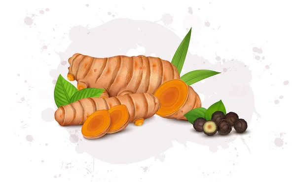 Turmeric Roots Vector Illustration Root Slices Black Pepper Seeds — Vector de stock