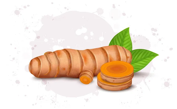 Turmeric Root Vegetable Vector Illustration Slices Turmeric Vegetable — Διανυσματικό Αρχείο