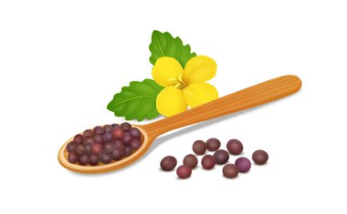  Red Mustard Seed with wooden spoon and mustard plant yellow flower vector illustration