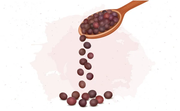 Red Mustard Seed Falling Wooden Spoon Vector Illustration — Vector de stock