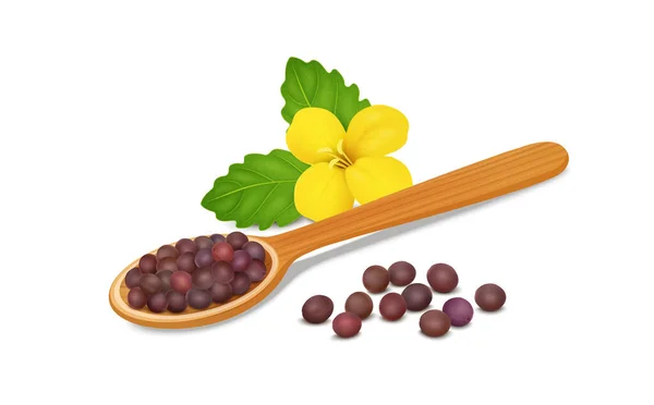 Red Mustard Seed Wooden Spoon Mustard Plant Yellow Flower Vector — 图库矢量图片