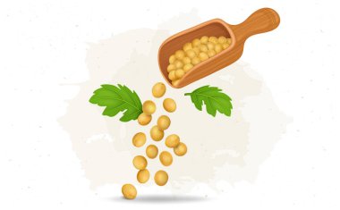Yellow Mustard Seeds falling from the wooden spoon with mustard plant leaves vector illustration