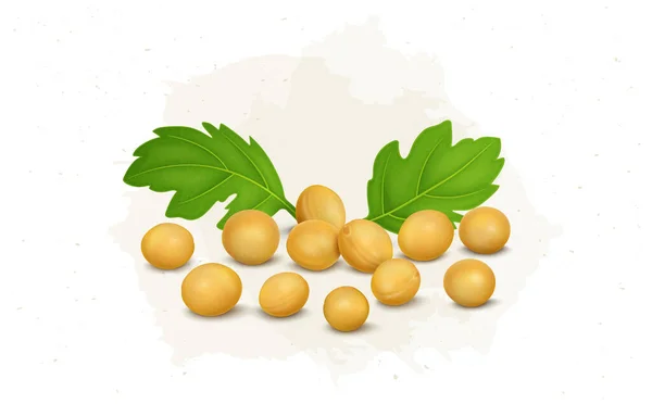 Yellow Mustard Seeds Vector Illustration Green Leaves — Stock Vector