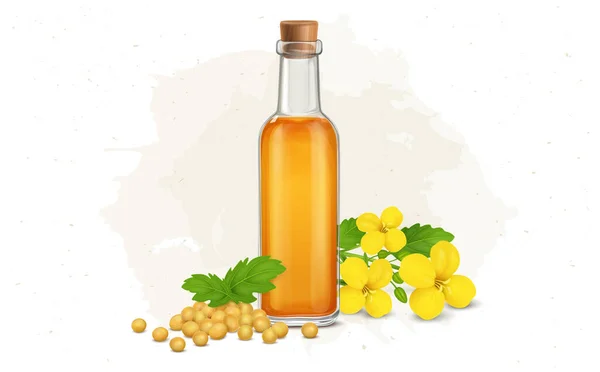 Mustard Oil Mustard Seed Flower Vector Illustration — Stockvektor