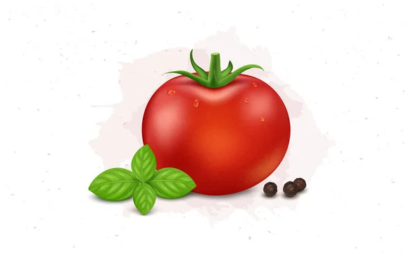 Red Tomato Vegetable Vector Illustration Basil Leaves Black Pepper — Vector de stock