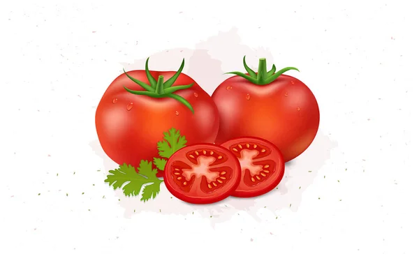 Vector Illustration Red Tomatoes Tomato Slices — Vettoriale Stock