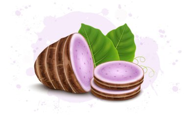 Half Piece of Taro Root Vegetable with Two round slices and Green leaves of taro root vegetable vector illustration
