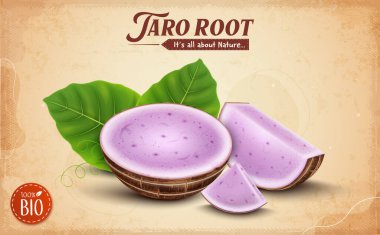 Taro Root vegetable Pieces vector illustration with Taro Root slices on brown background