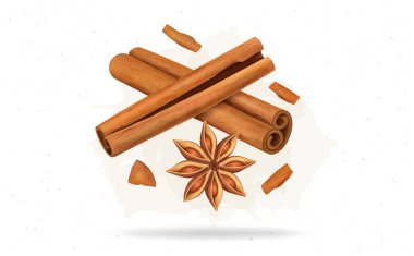 Cinnamon Sticks and flower vector illustration with cinnamon pieces