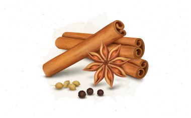 Cinnamon sticks vector illustration with cinnamon flower and black pepper seeds