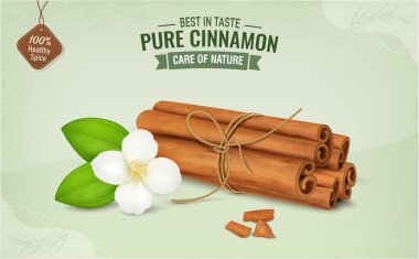 Cinnamon Sticks bundle vector illustration with cinnamon flower and green leaves