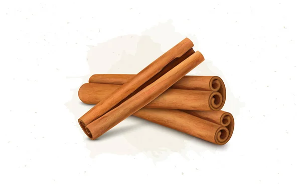 Vector Illustration Cinnamon Sticks Species Isolated White Background — Image vectorielle