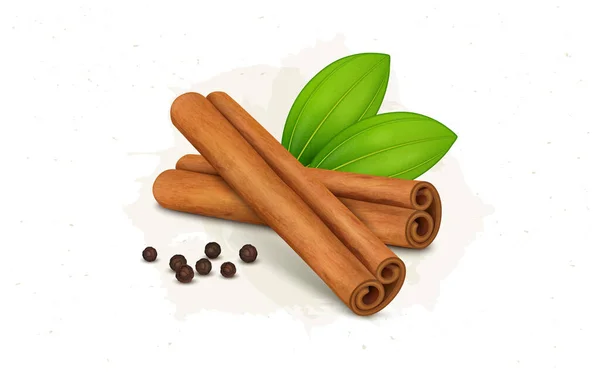 Cinnamon Sticks Vector Illustration Green Leaves Black Pepper — 图库矢量图片
