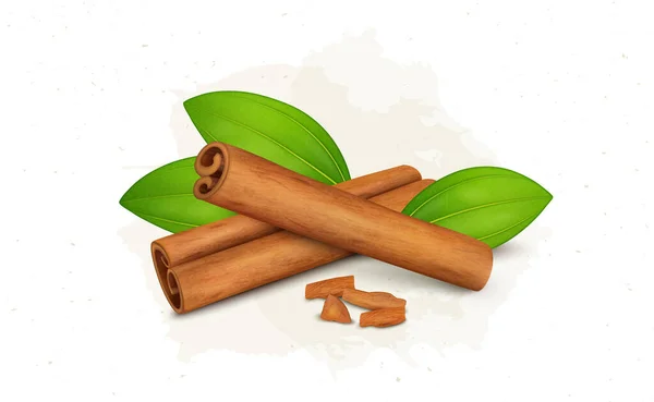 Cinnamon Sticks Vector Illustration Green Leaves Cinnamon Pieces — 图库矢量图片