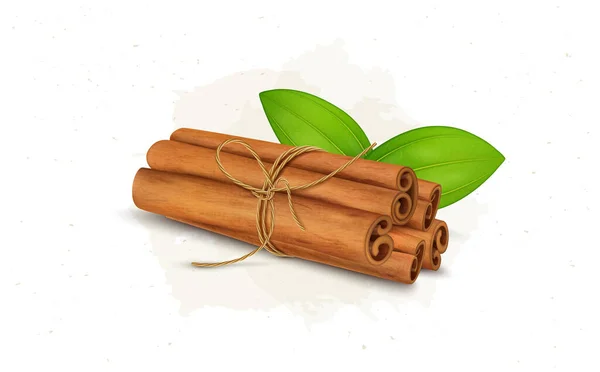 Cinnamon Sticks Bundle Green Leaves Vector Illustration — 图库矢量图片