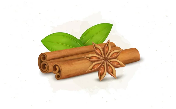 Cinnamon Sticks Vector Illustration Green Leaves Flower — 图库矢量图片