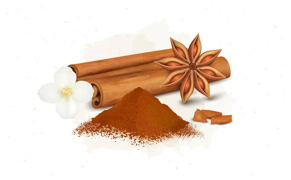 Cinnamon Sticks Vector Illustration Cinnamon Flower Powder — Vector de stock