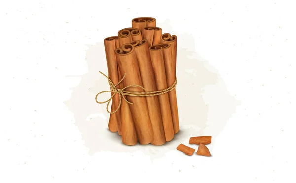 Cinnamon Sticks Bundle Vector Illustration — Vector de stock