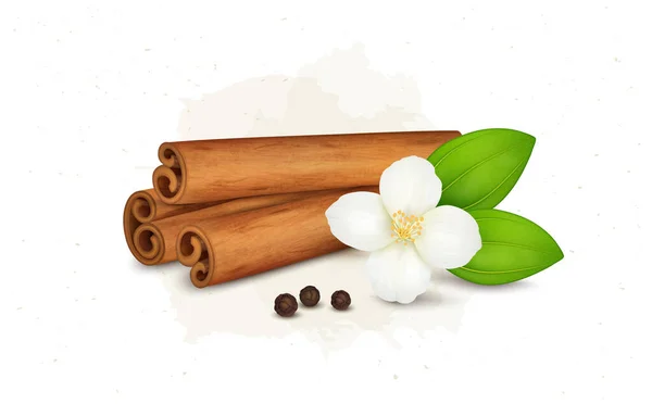 Cinnamon Sticks Flower Vector Illustration Black Pepper Seeds — 图库矢量图片