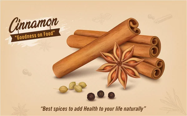 Cinnamon Sticks Vector Illustration Cinnamon Flower Black Pepper Seeds — Vector de stock