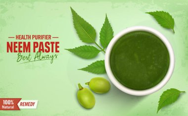 Neem Paste ayurvedic medicine vector illustration with neem leaves and fruit 