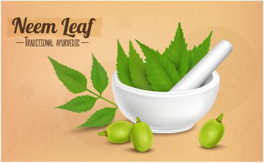 Ayurvedic medicinal neem leaves vector illustration with neem fruits isolated on brown background