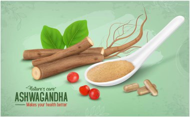 Ashwagandha Herb Kuru Çubuklar ve Kökler vektör çizimleri Ashwagandha tozu ve böğürtlen