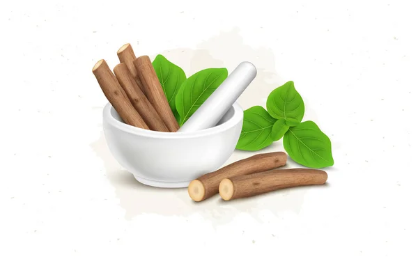 Ashwagandha Shrub Dry Stick Green Leaves Marble Mortar Ayurvedic Crusher — 스톡 벡터