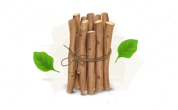 Bundle Ayurvedic Herb Ashwagandha Shrub Dry Sticks Vector Illustration — Stock Vector