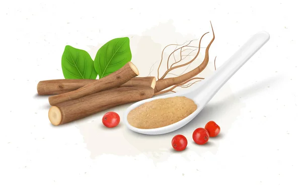 Ashwagandha Herb干枝和根茎矢量插图与Ashwagandha粉和浆果 — 图库矢量图片