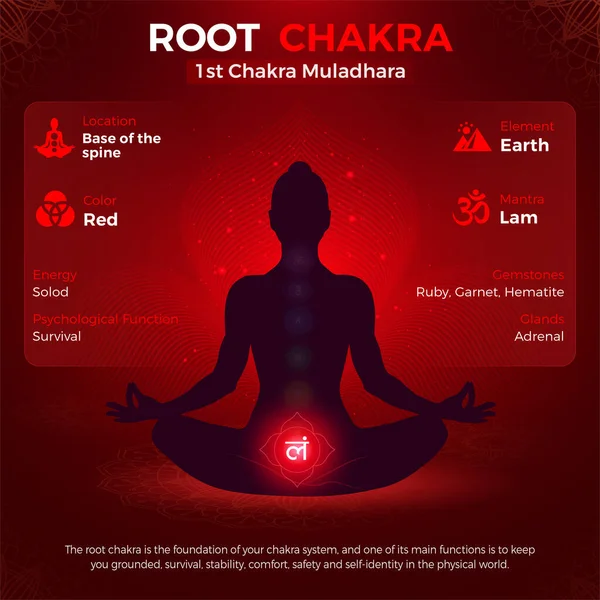 Root Chakra Muladhara Symbol Location Position Human Body Vector Illustration — 스톡 벡터