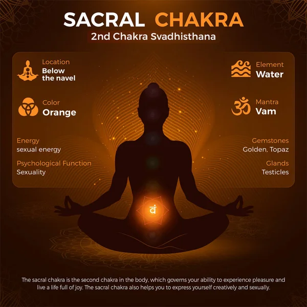 Sacral Chakra Svadhisthana Symbol Helyszín Pozíció Emberi Test Vektor Illusztrációban — Stock Vector