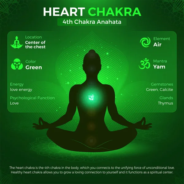 Chakra Coração Símbolo Anahata Localização Posição Ilustração Corpo Vetor Humano — Vetor de Stock