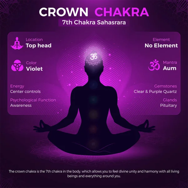 Crown Chakra Sahasrara Símbolo Localização Posição Ilustração Corpo Vetor Humano — Vetor de Stock