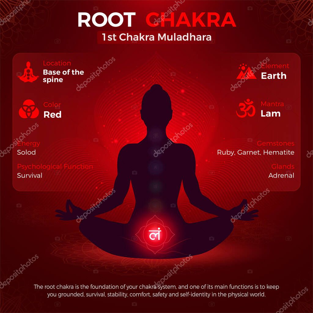 Chakra Raíz, Símbolo Muladhara Ubicación y Posición en la ilustración