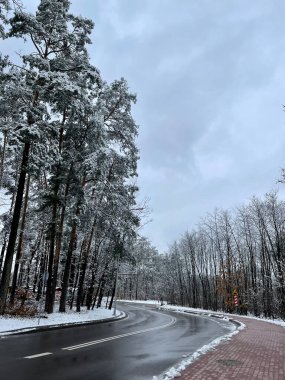 Ormanda kış yolu, karla dolu.