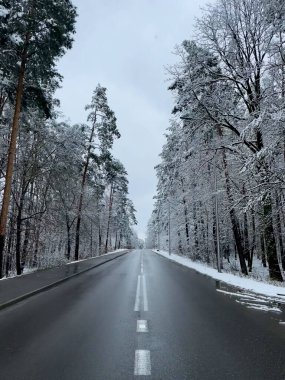 Kış yolun ormanın içinde