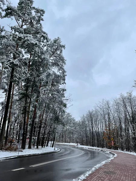 Ormanda kış yolu, karla dolu.